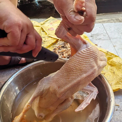 Desplumadora Eléctrica Rápida — Despluma un Pollo en Solo 60 Segundos