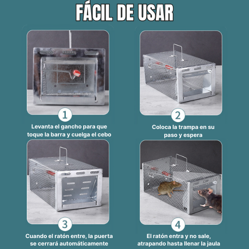 BestSeller™ - Trampa Humanitaria de Jaula para Atrapar Ratas, Ratones y Ardillas Vivas