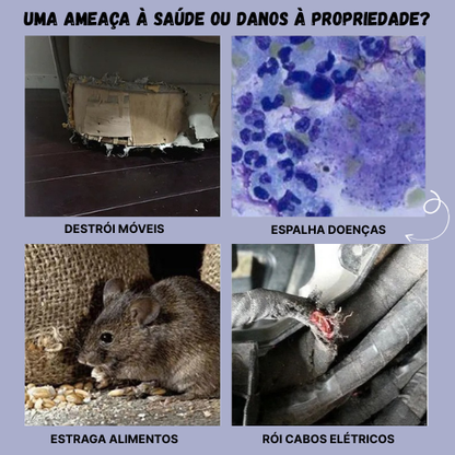 BestSeller™ - Armadilha Humanitária em Gaiola para Ratos, Camundongos e Esquilos Vivos