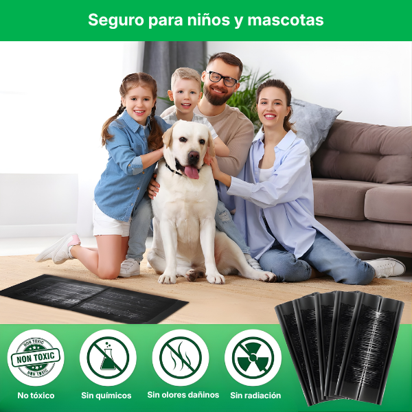 ⚡ Trampas adhesivas profesionales – tamaño extra grande para capturar más rápido