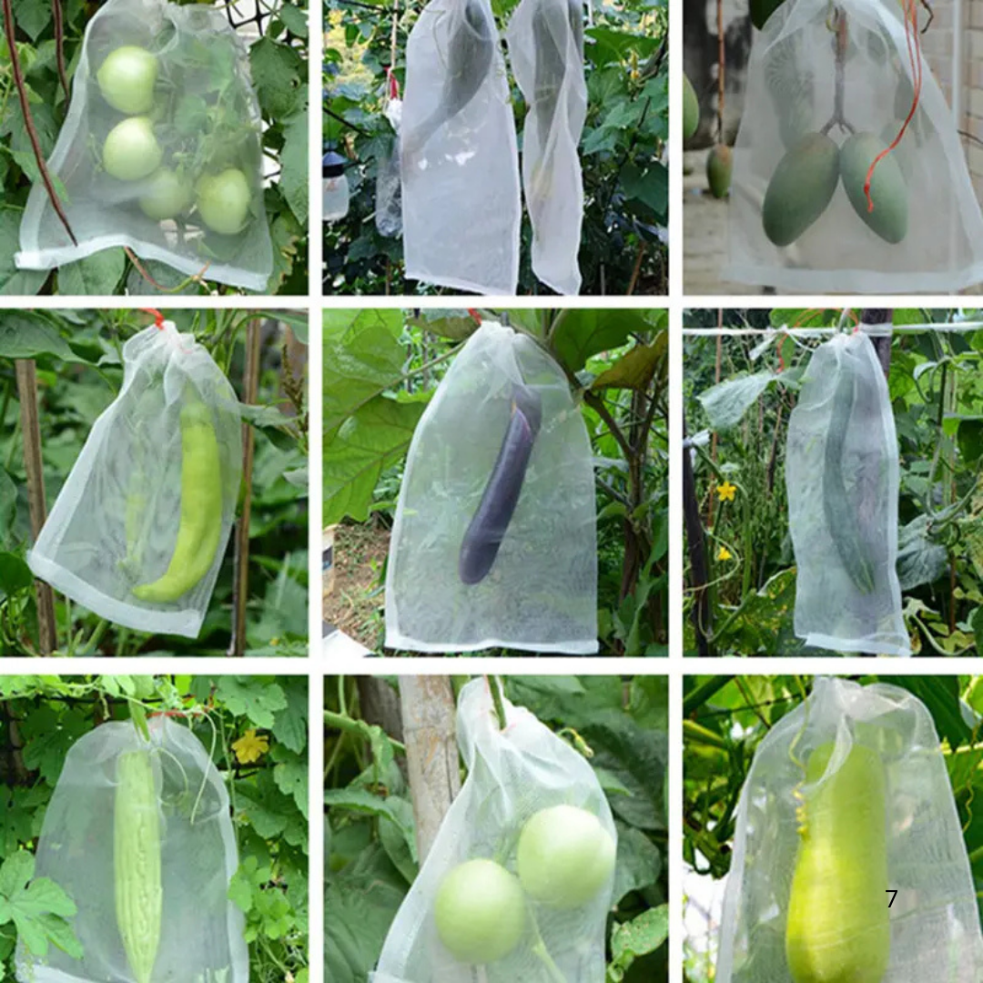 Bolsas de Malla Transpirable y Reutilizables para Proteger Frutas y Verduras – Protegen contra Insectos, Moscas de la Fruta y Aves