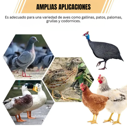 Puerta de alimentación automática para gallinas y patos, compatible con todo tipo de cubos – Incluye broca y sierra de corona
