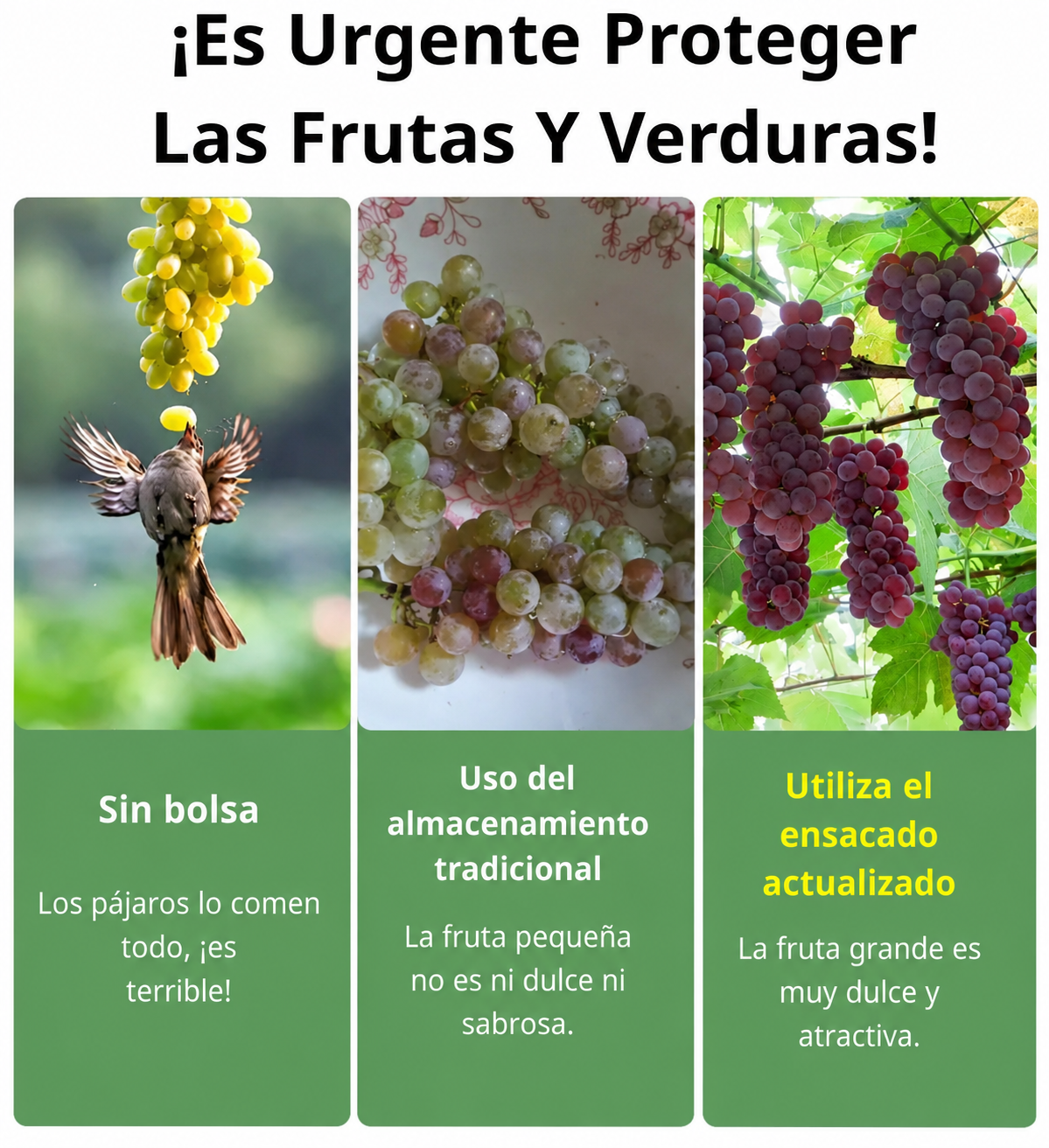 Bolsas de Malla Transpirable y Reutilizables para Proteger Frutas y Verduras – Protegen contra Insectos, Moscas de la Fruta y Aves