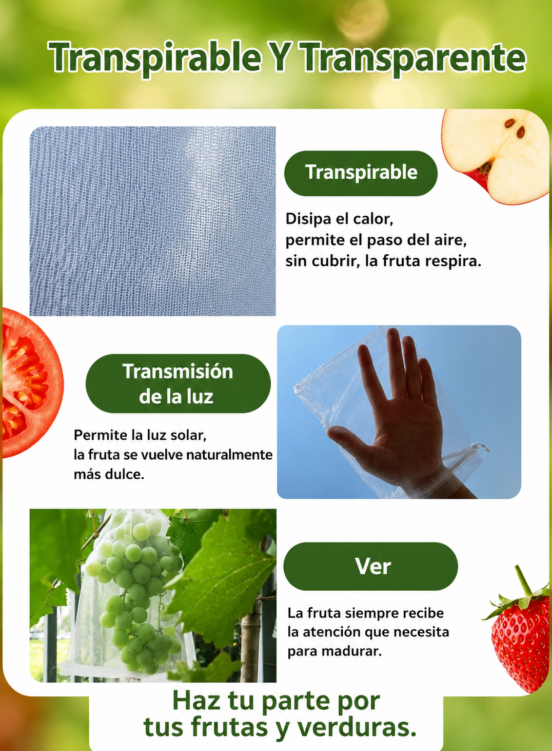 Bolsas de Malla Transpirable y Reutilizables para Proteger Frutas y Verduras – Protegen contra Insectos, Moscas de la Fruta y Aves