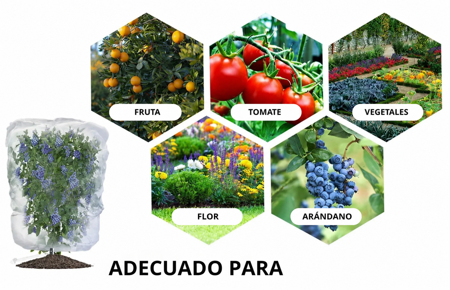 Bolsas de Malla Transpirable y Reutilizables para Proteger Frutas y Verduras – Protegen contra Insectos, Moscas de la Fruta y Aves