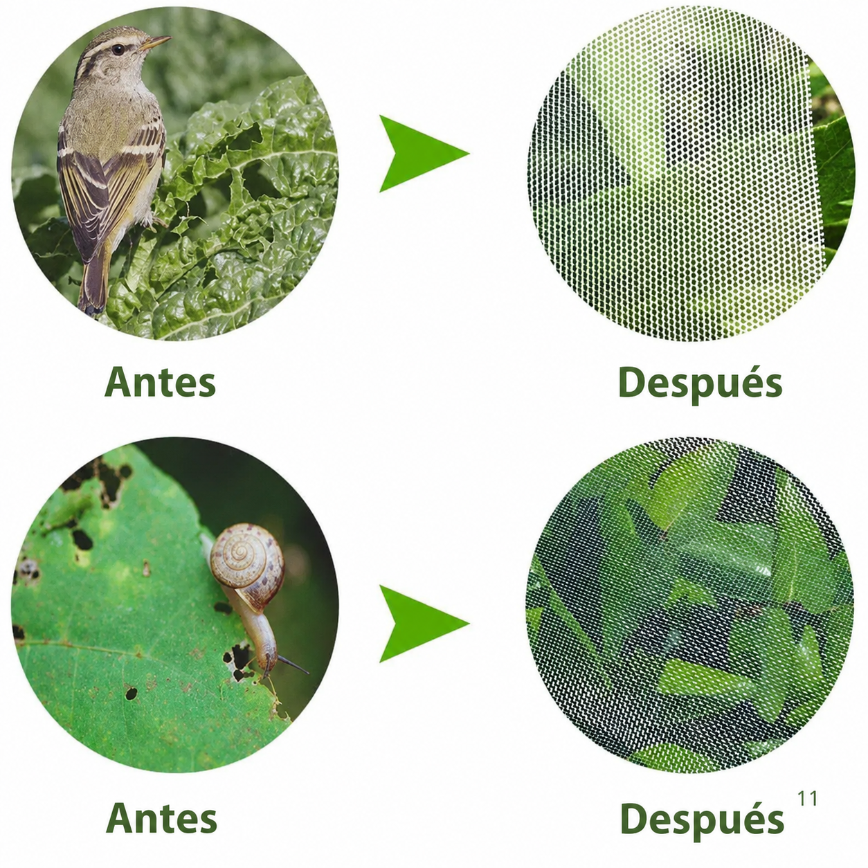 Bolsas de Malla Transpirable y Reutilizables para Proteger Frutas y Verduras – Protegen contra Insectos, Moscas de la Fruta y Aves