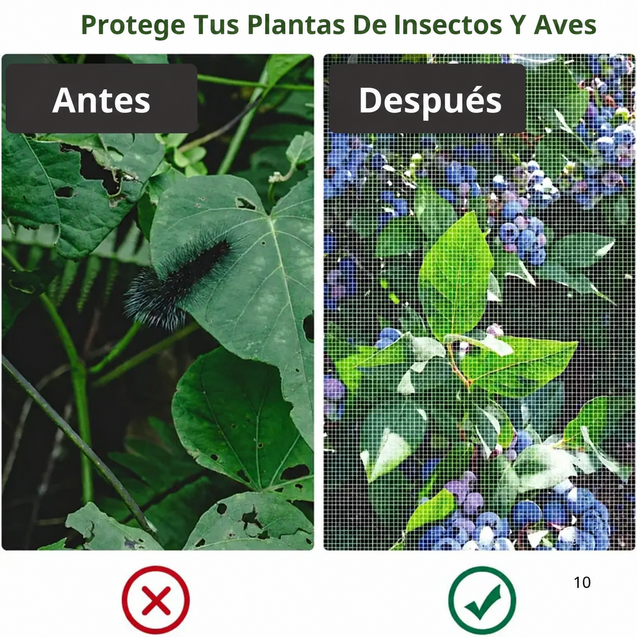 Bolsas de Malla Transpirable y Reutilizables para Proteger Frutas y Verduras – Protegen contra Insectos, Moscas de la Fruta y Aves